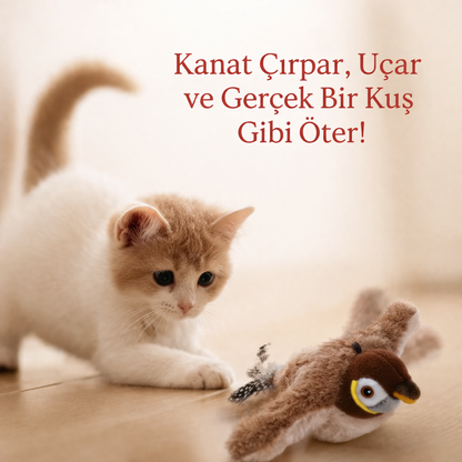 Pativo Cikcik Öten Kuş