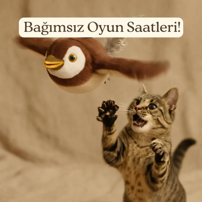 Pativo Cikcik Öten Kuş