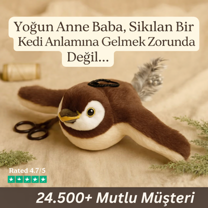 Pativo Cikcik Öten Kuş