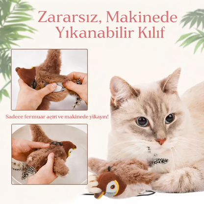 Pativo Cikcik Öten Kuş