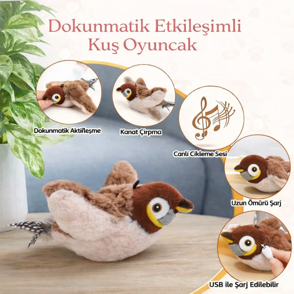 Pativo Cikcik Öten Kuş